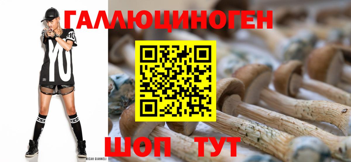 Подольск  Галлюциногенные грибы ЛСД  Галлюциногенные грибы Psilocybe  Вход с VPN 